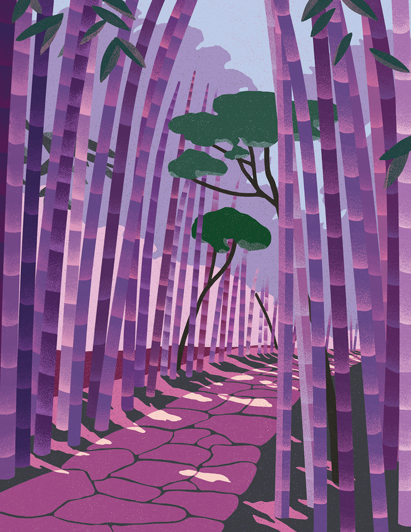 Bamboo Forest